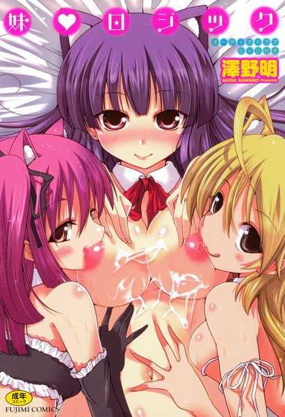 澤野明❤妹 ロジック｜【単行本】