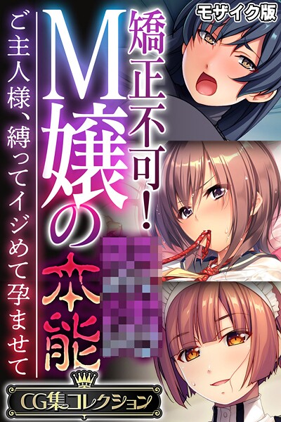 大人のSEXY絵本❤矯正不可！M嬢の●●本能 〜ご主人様、縛ってイジめて孕ませて〜【CG集コレクション】 モザイク版｜【フルカラー】