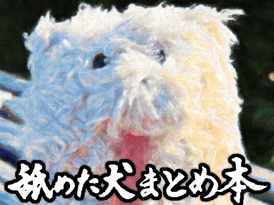 ❤舐めた犬まとめ本｜舐めた犬【ギャグ・コメディ】