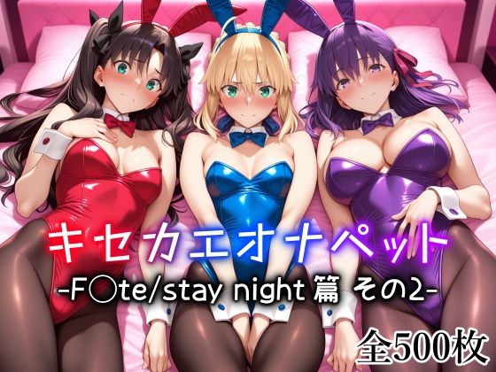 ❤キセカエオナペット -F◯te stay night篇 その2-｜愛玩ファクトリー【メイド】