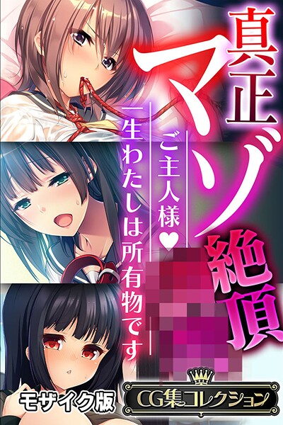 大人のSEXY絵本❤真正マゾ絶頂●● 〜ご主人様 一生わたしは所有物です〜【CG集コレクション】 モザイク版｜【フルカラー】