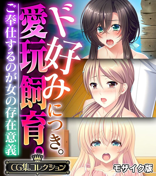 大人のSEXY絵本❤ド好みにつき。愛玩飼育。 〜ご奉仕するのが女の存在意義〜【CG集コレクション】 モザイク版｜【フルカラー】