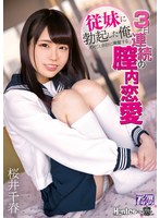 【中出し❤桜井千春】従妹に勃起した俺 ダメだと余計に興奮する3日連続の膣内恋愛 桜井千春｜royd00012