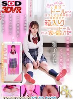 【おもちゃ❤雅子りな】【VR】【8K】人間がドールに？！注文したら委員長は突如消えて、箱入りドールとして家に届いた 雅子りな｜13dsvr01850